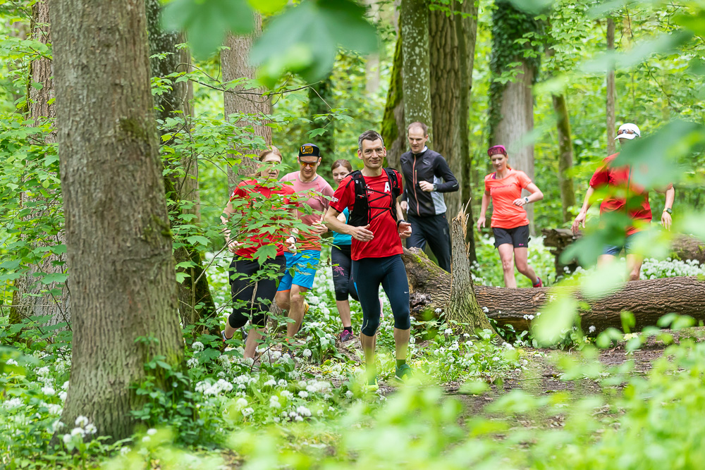 Gruppe Jogger unterwegs im Wald