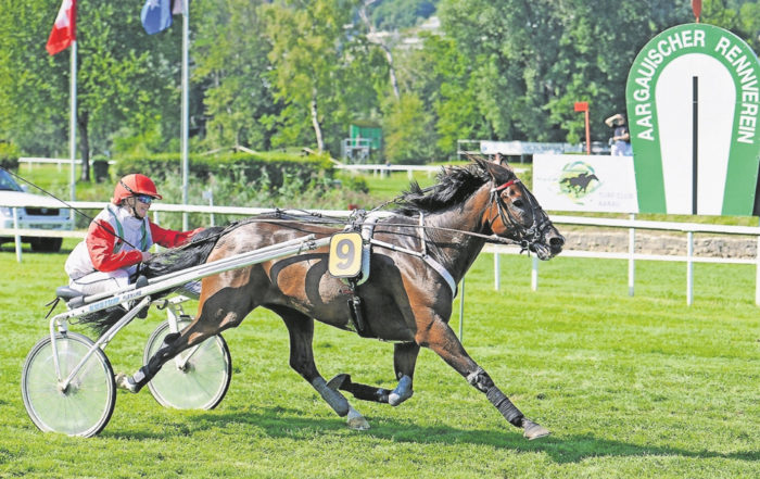 Das Rennpferd Swedishman gewinnt in Aarau