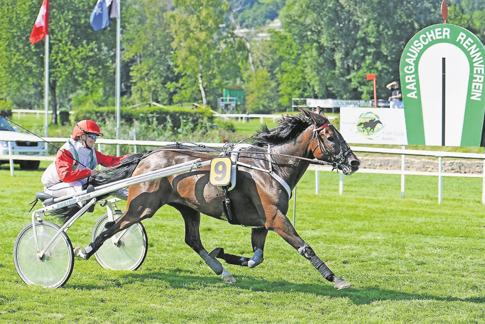 Das Rennpferd Swedishman gewinnt in Aarau