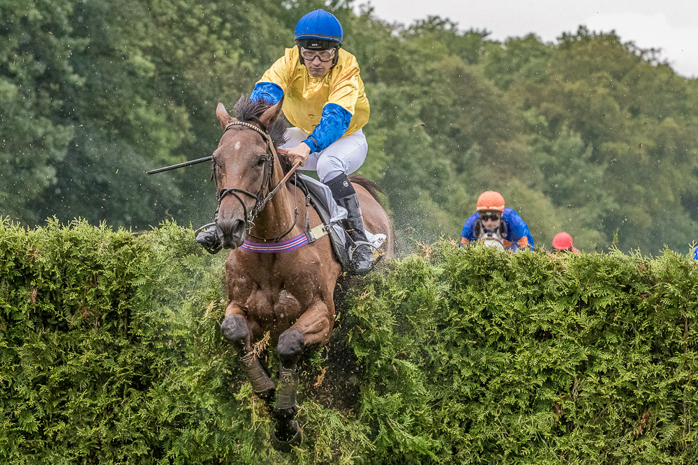 Pferd und Reiter springen über ein Hindernis