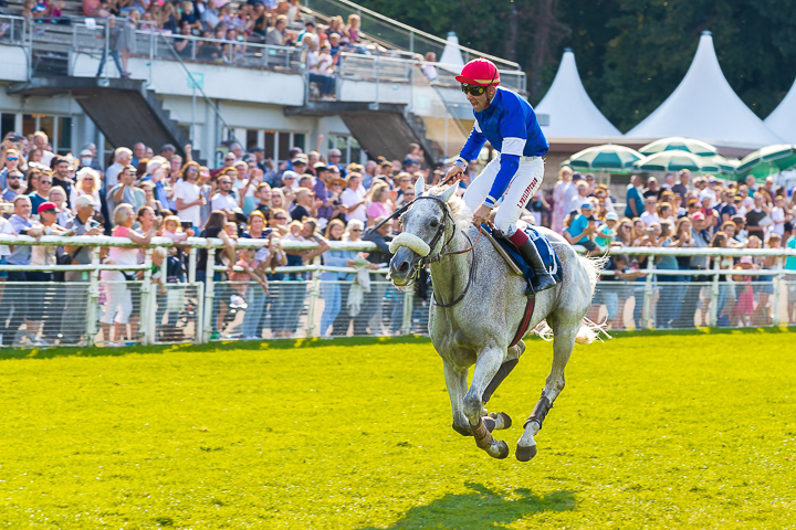 Reiter und Pferd in Aktion am Pferderennen in Aarau