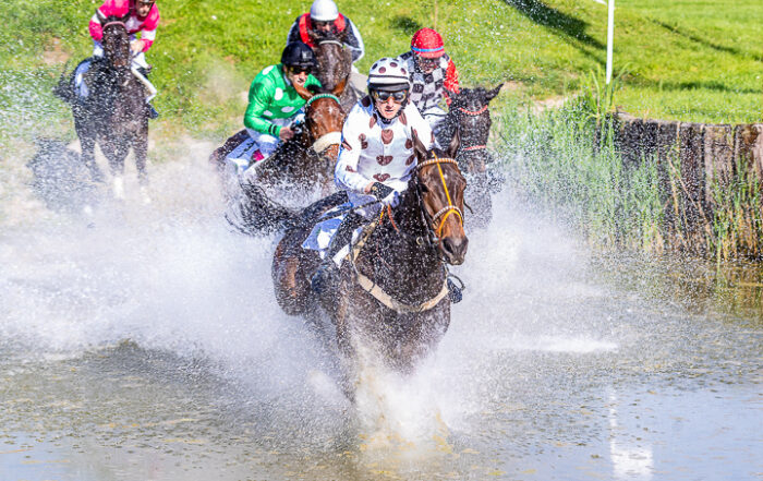Pferderennen Aarau in Action