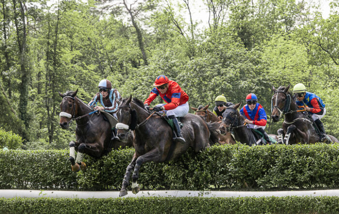 Fünf Pferde springen über ein Hindernis während des Jagdrennen in Aarau