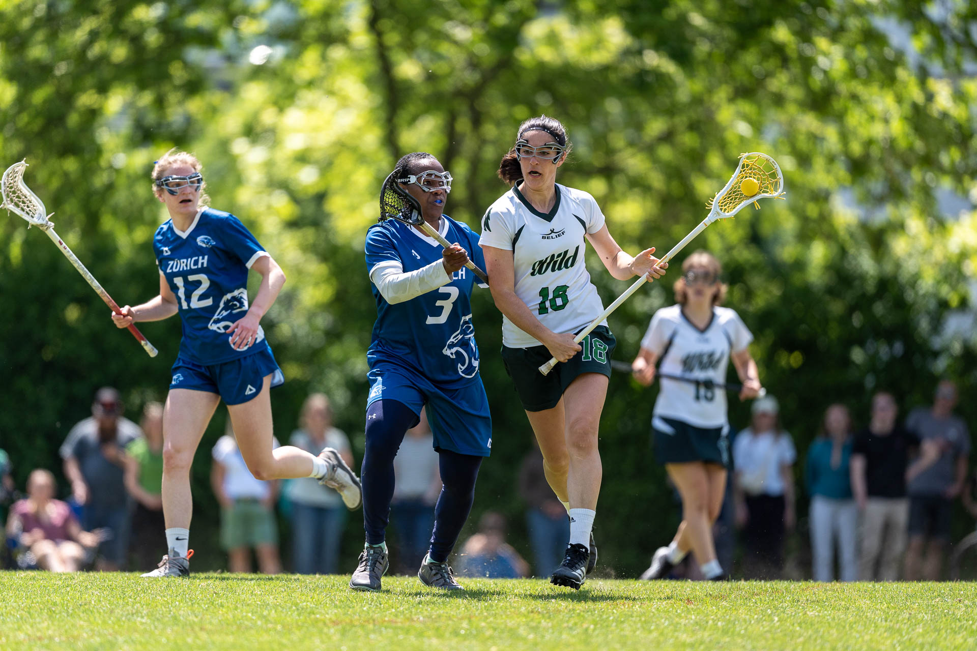 Wettingen Wild-Zürich Lions