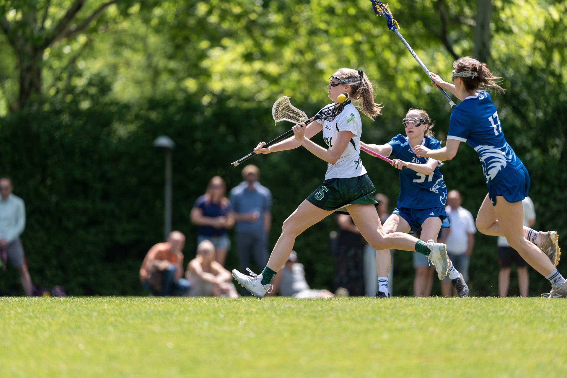 Lacrosse: Wettingen Wild-Zürich Lions